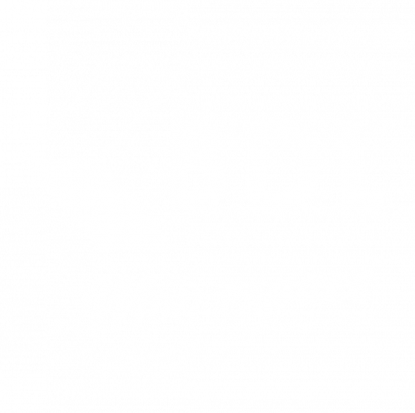 logo-BDL-appli