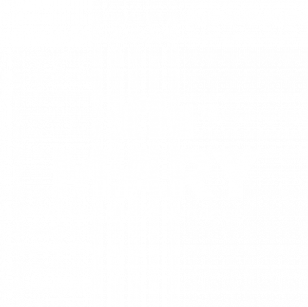logo-mary-travaux-service