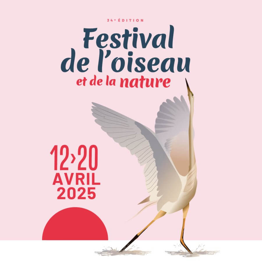 Festival de l'Oiseau