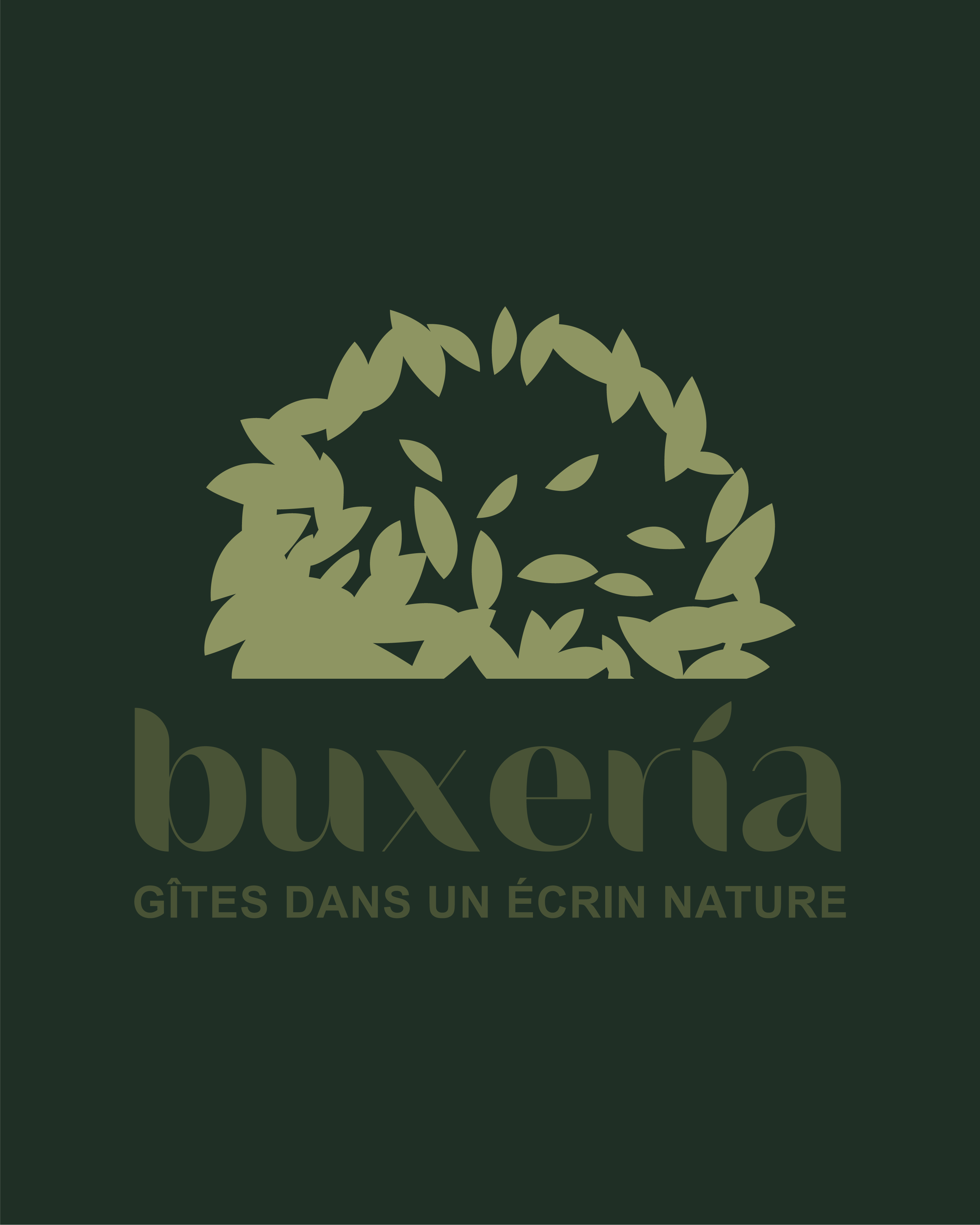 buxeria-vert-foncé-post-insta