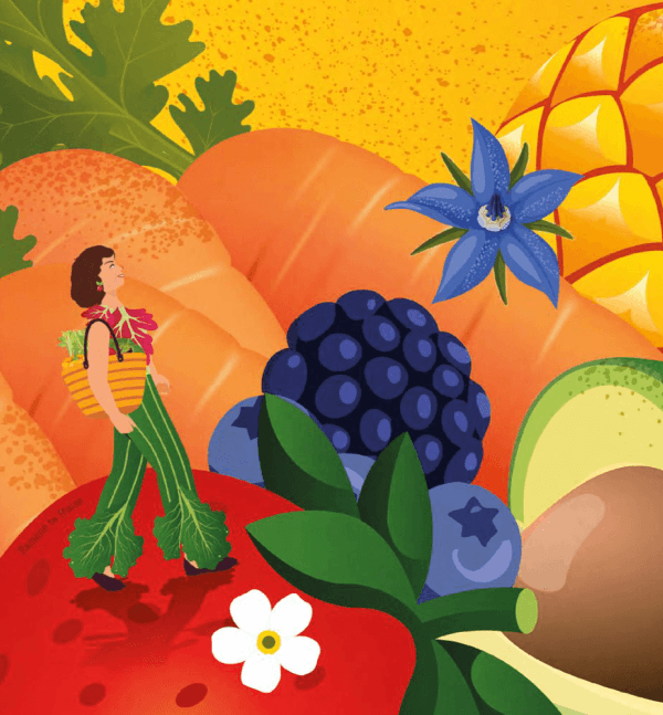 Illustrations pour le magazine d’explorations sensibles Figures de côte